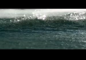 【READY-STOCK】MAG SERIES PREMIUM PET SUPPLEMENT For Dog & Cat Supplement Pet Probiotics Cat Probiotics MAG高级宠物保健品 宠物益生菌 猫咪腹泻益生菌 狗狗益生菌 宠物腹泻补给品