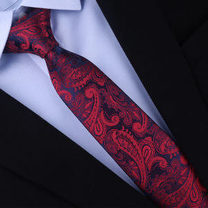 LIESHANG | Easy to Use Zipper Tie Mens Formal Wear