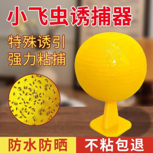 WE 3668* = 果蝇诱捕粘虫球 Fruit fly trap sticky ball