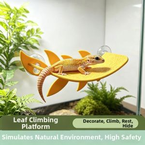 Hadassah | Climbing Rest Shelter for Reptiles Suction Cup Leaf Shaped Perch