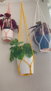 Macrame Plant Hanger Indoor Hanging Planter Basket Decorative Flower Pot Holder No Tassels for Indoor Outdoor Boho Home Decor