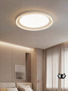 FANCY LAMP CLUB | Modern Simple All-Spectrum Ceiling Light