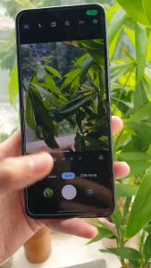 Motorola Razr 50 5G ( Razr 2024 ) 8/256GB Quốc Tế | Màn Gập Chất 120HZ Oled  Tặng kèm sạc nhanh