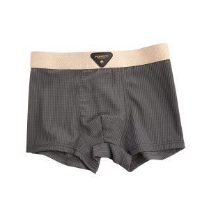 JIAZINI | Ice Silk Antibacterial Boxer Shorts Breathable Briefs