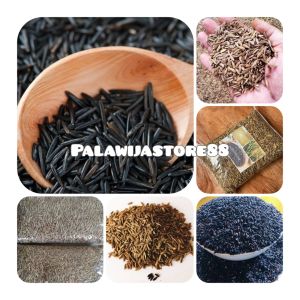 Benih ketan hitam / benih padi ketan hitam super unggul 250 gram