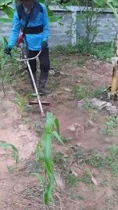 ใบพรวนดินหญ้า ถากหญ้า ดายหญ้า ถากหญ้าพรวนดิน ใบพรวนหน้าดิน ใบพรวนตัดหญ้า ใ