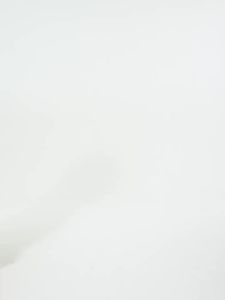 CAMEL | Thickened Warm Womens Fleece Jacket