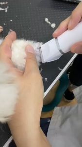 4 in 1 Pencukur Bulu Kucing Alat Cukur Bulu Anjing Elektrik Cukur Bulu Kucing Anjing Pet Clipper