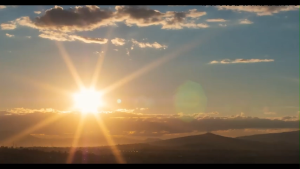 🚚SG Fast Delivery📦2/3/4 Heads LED Grow Light 3 Mode Dimmable Timer Indoor Plant Light Red Blue 80 LED Flexible Nursery Lamp children day gifts