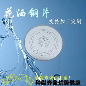 304 Stainless Steel Microhole Shower Head Pressure Boosting Sheet Modern Style Home Bathroom Rainfall Function Accessory