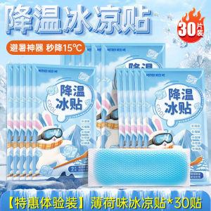 Mùa Hè Mát Mẻ Dán Lạnh Thiết Bị Giải Nhiệt Cho Điện Thoại Di Động Làm Mát Lưng Lạnh Mát Mẻ Sản Phẩm Giải Nhiệt Cho Trẻ Em Khi Đi Chơi