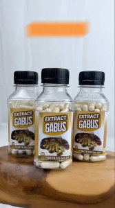 EKSTRAK IKAN GABUS 60 KAPSUL BANTU PENYEMBUHAN TUBUH LEBIH CEPAT DAN TEPAT - SYIFA HERBAL