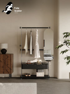 Integrated Dressing Mirror and Coat Rack Stainless Steel