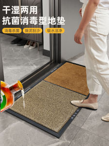 Door Wet and Dry Disinfection Floor Mat Entry Door Carpet Door Home Non-Slip Carpet Epidemic Prevention Disinfection Wire Ring Foot Mat