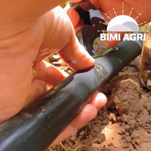 Cây đục lỗ cắm bec bọ - BIMI AGRI