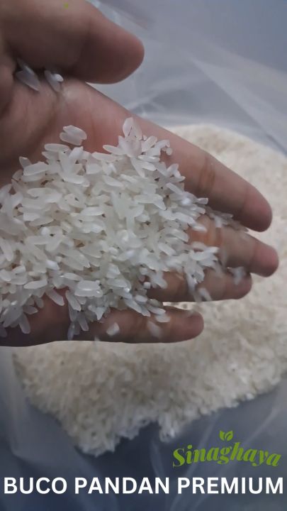 Buco Pandan Premium Rice 25kg | Lazada Philippines