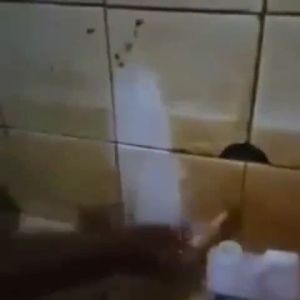 Topron Pembersih Kamar Mandi Serbaguna ampuh