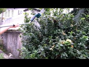 Xugel Combo Grass Cutter and Branch Trimmer Cordless 7.2v Trimmer with Aluminium Extension Selection