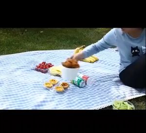 Fly Repellent Fan Outdoor Home Rotating 360º Fly Repellent Fan Pest Bug Repeller Perangkap Lalat