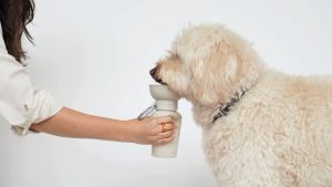 Springer Flip Dog Travel Bottle ขวดน้ำ กระบอกน้ำสัตว์เลี้ยงพกพา นำเข้าจากอเมริกา