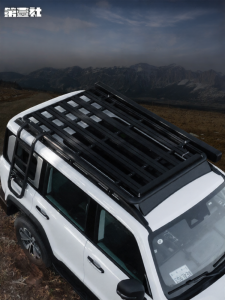 FIT CLUB | Specialty Roof Platform Luggage Rack with Side Ladder and Tent Mounting
