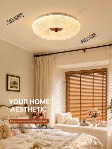 AOMAO | Retro French & Oriental Style Full Spectrum Ceiling Light