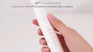 Ultrasonic Electric Teeth Cleaner Dental Scaler Teeth Whitening Tartar Removal Sonic Tooth Brush take Breath freshener
