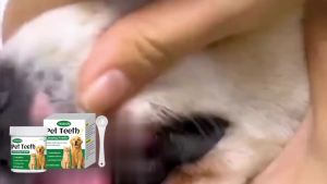 YEGBONG | Pet Teeth Cleaning Powder Reduce Dental Plaque Calculus Eliminates Oral Odors Whiten Teeth Fresh Breath Pet Cleaning Products