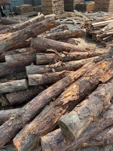 Than thông xay mịn 1kg ( 300 mesh )