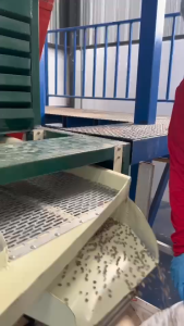 กาแฟคั่ว Signature Dark Blend Robusta x Laos