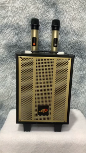 Loa Karaoke Di Động AT T9 Bass 20cm Kèm 2 Micro Không Dây Chỉnh Âm Thanh Hát Cực Hay