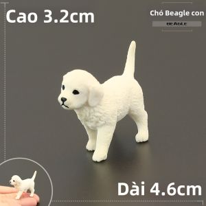 MENGSILE | Mô Hình Động Vật Thật Mắt Bép Cho Trẻ Em - Quà Tặng Giáo Dục và Trang Trí