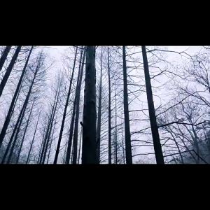 Outdoor Camping Picnic Portable Egg Storage 4/6/12 Case Box Holder Container