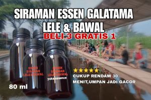 [ BELI 3 GRATIS 1 ] ESSEN SIRAMAN  CACING GALATAMA LELE TARGET INDUK