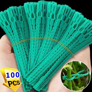 13/17/23cm Garden Ties Adjustable Plant Vine Support Fastener Self Locking Plastic Zipper Cables Ties Organizer Wrap Rings