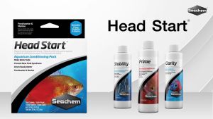 🎯500 ml. SET น้ำใส ลดคลอรีน แบคทีเรียน้ำ ✅ ใช้ได้ทั้งน้ำจืดและน้ำทะเล Seachem HeadStart™ ชุดเริ่มต้นปรับสภาพตู้ปลา