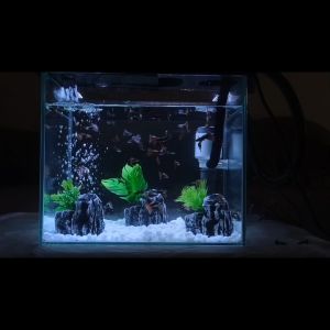 Ornamen Aquarium Batu Buatan ( MODEL E ) Unik Hiasan Aquarium Tebing Batu Aquascape Tanaman Air Buatan  Sintesis Dekorasi Murah Aksesoris Akuarium TIPE E1