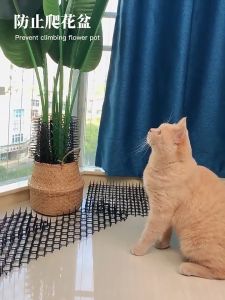 Anti-Cat Mat with Spikes Cat Repellent Mats Indoor Outdoor Anti Cat Dog Keep Cat Away Mats Indoor Ou