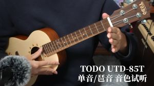 TODO Ukulele 23 Concert Solid Spruce Nile Design