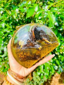 #ลูกกรอกช้าง แท้💯 งานพุ่ง งานรุ่ง ขายง่าย ขายคล่อง ในทุกๆเรื่อง