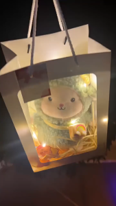 [Hàng sẵn HCM] Túi quà tặng gấu bông quà tặng người yêu em bé dịp sinh nhật quốc tế thiếu nhi