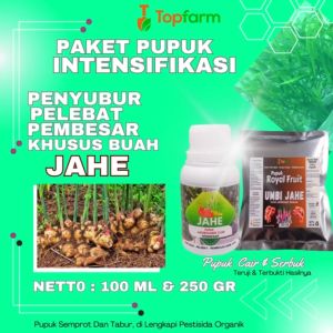 Pupuk Khusus Tanaman Jahe
