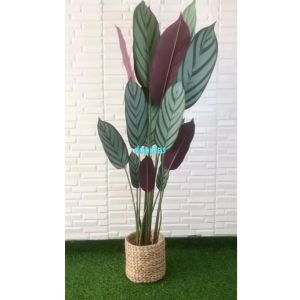 Pohon Artificial Tanaman Hias Daun Callathea Ungu T150 Latex Cover Pot Anyaman Eceng Gondok Dekorasi Rumah