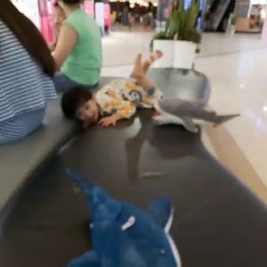 CÁ MẬP NHỒI BÔNG QCTQ 40CM