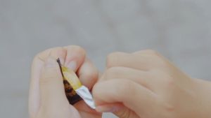 Kẹo Gừng Nhân Mật Ong Manuka Only Nature 16.5 gr (5 viên/ Túi)