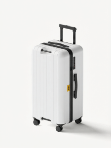 cece | Multi-Function Password Large Capacity Luggage