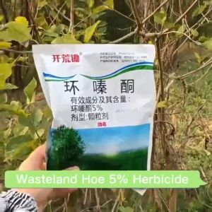 racun rumput mati akar racun rumput paling kuat racun rumput Glyphosate effective weed control weed killer racun rumpai paling kuat racun rumput paling kuat murah racun rumput cepat mati racun rumput sambau 除草剂