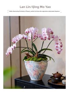 LANLIN | Ceramic Breathable Plant Pot