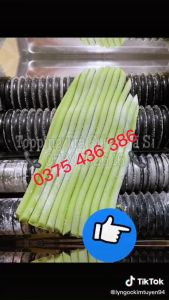 Máy vo viên trân châu bánh cà bánh nhãn chạy điện 220v size 6/8/10/12mm