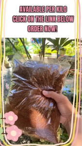 Cocopeat 2kilos garden loam soil organic maganda sa halaman Panaba order now BAGAY SA GARDEN